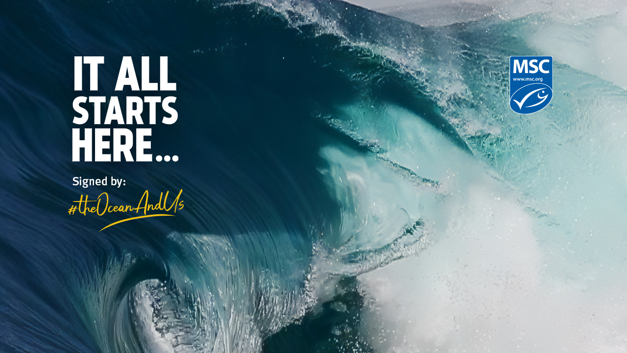 Trato con el Océano MSC