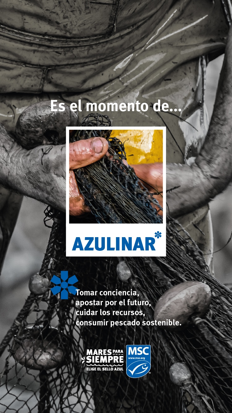 Aportar por el Futuro